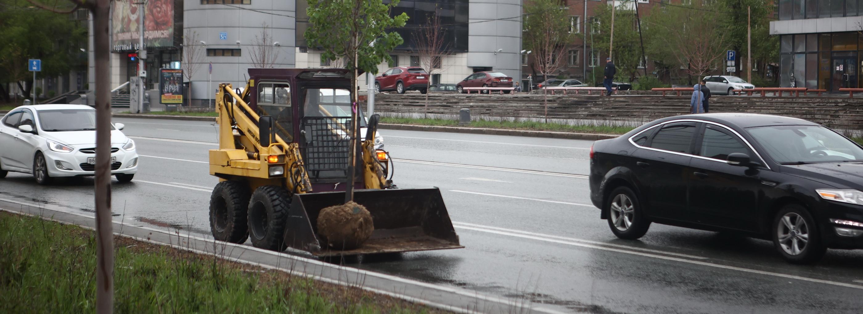 «Завершаем озеленение»: ещё 14 лип высадили на Вокзальной магистрали