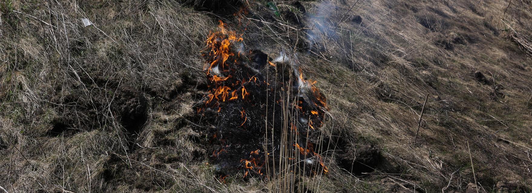 Жительница Академгородка помогла тушить пожар самодельным веником