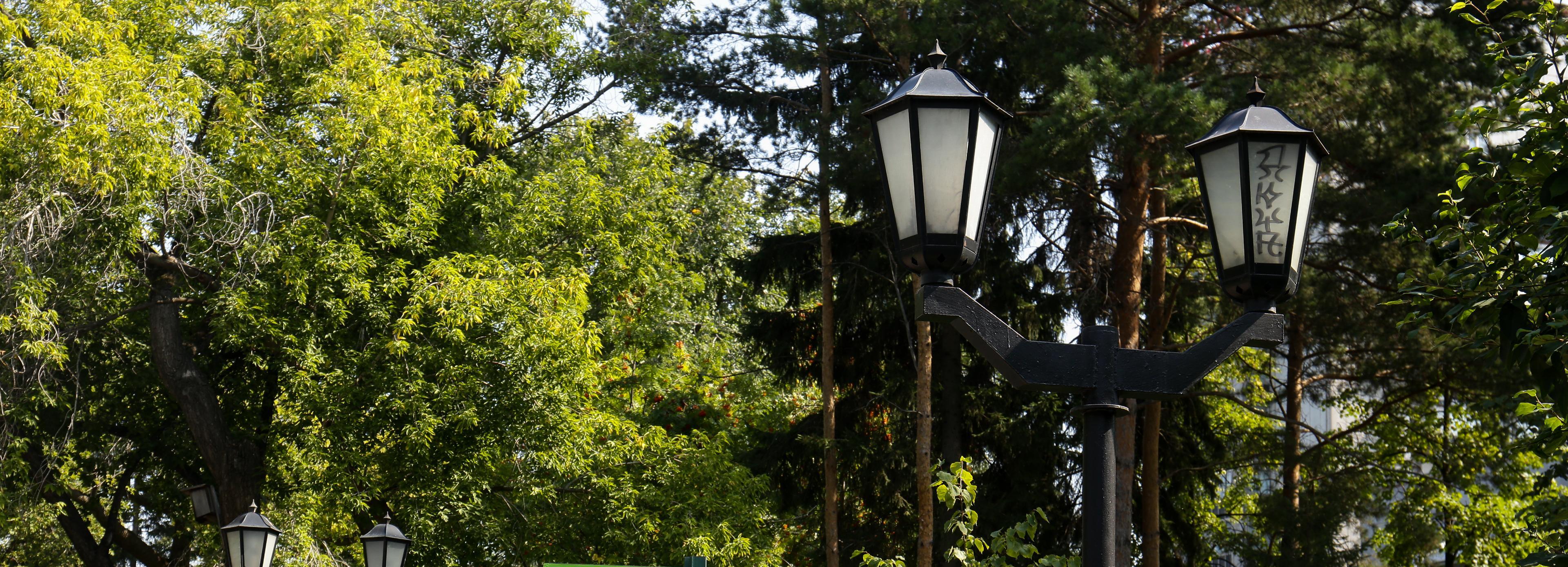 Нужно поднажать: Новосибирск продолжает голосовать за имя парка на Ине