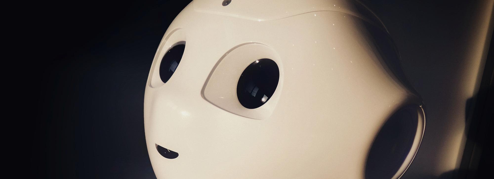 Новосибирский робот Николай побил рекорд по числу принятых вызовов