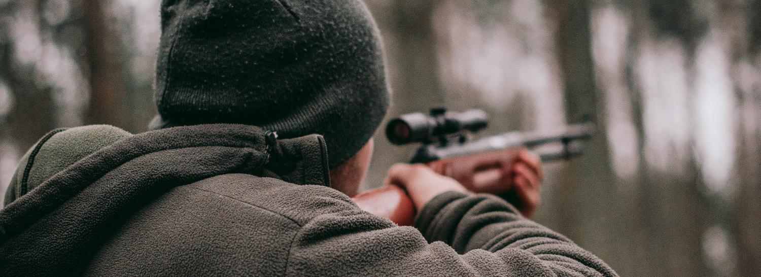 Задравшего трёх лошадей медведя отстрелят в Новосибирской области