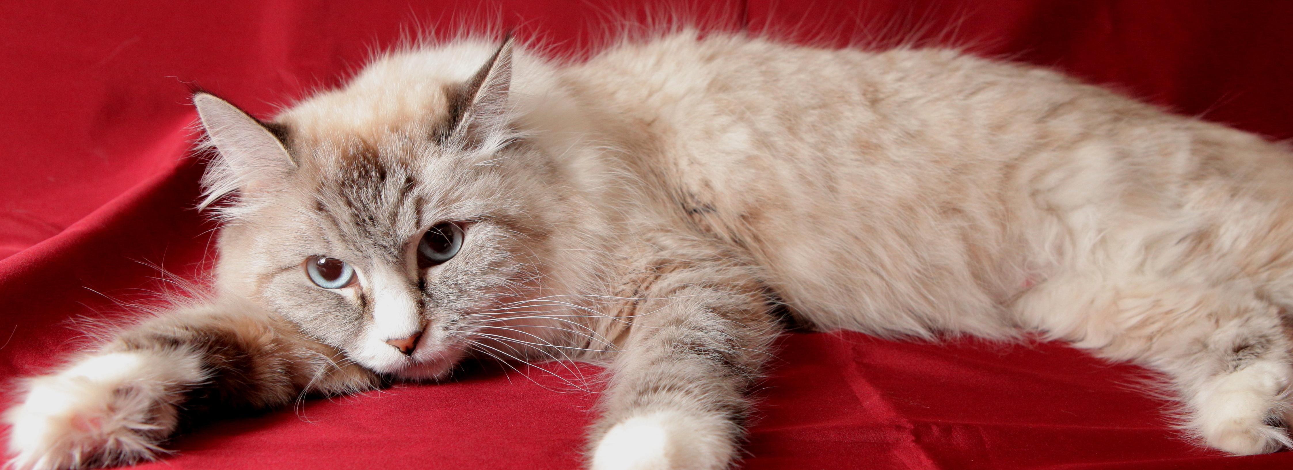 Афиша Новосибирска: куда сходить в четверг, 26 октября