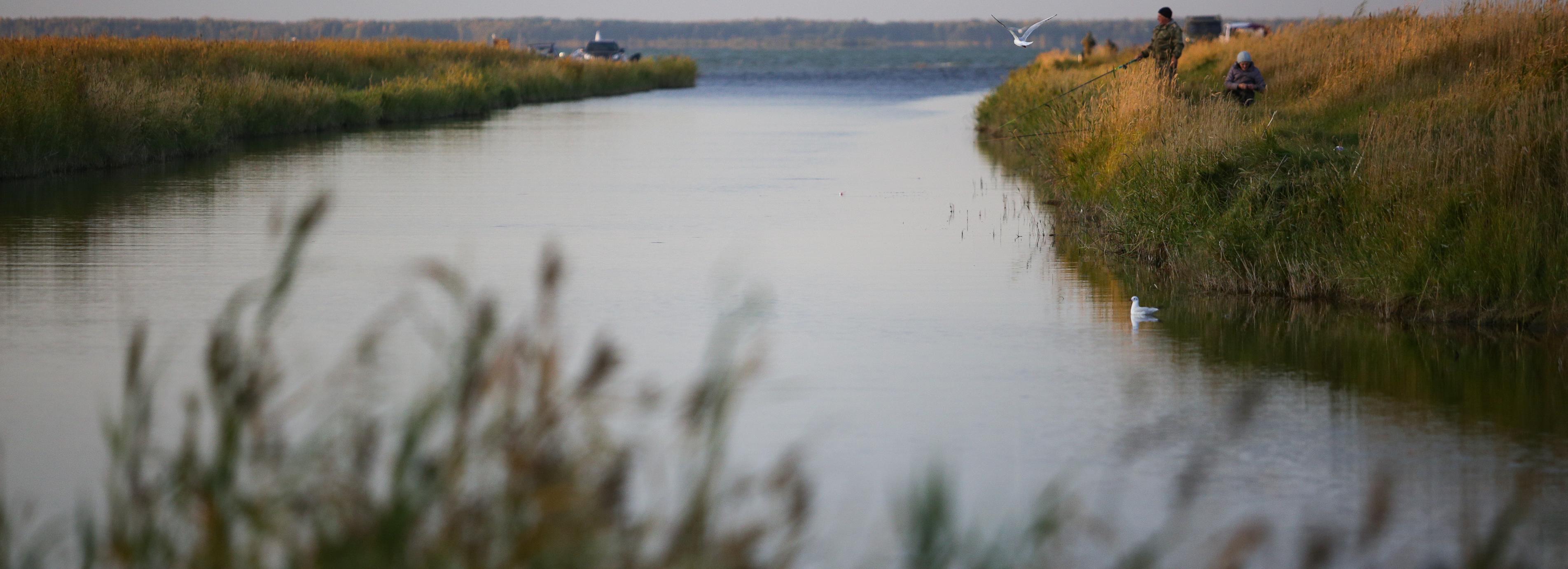 Вышел фильм, который заставит вас влюбиться в Новосибирскую область