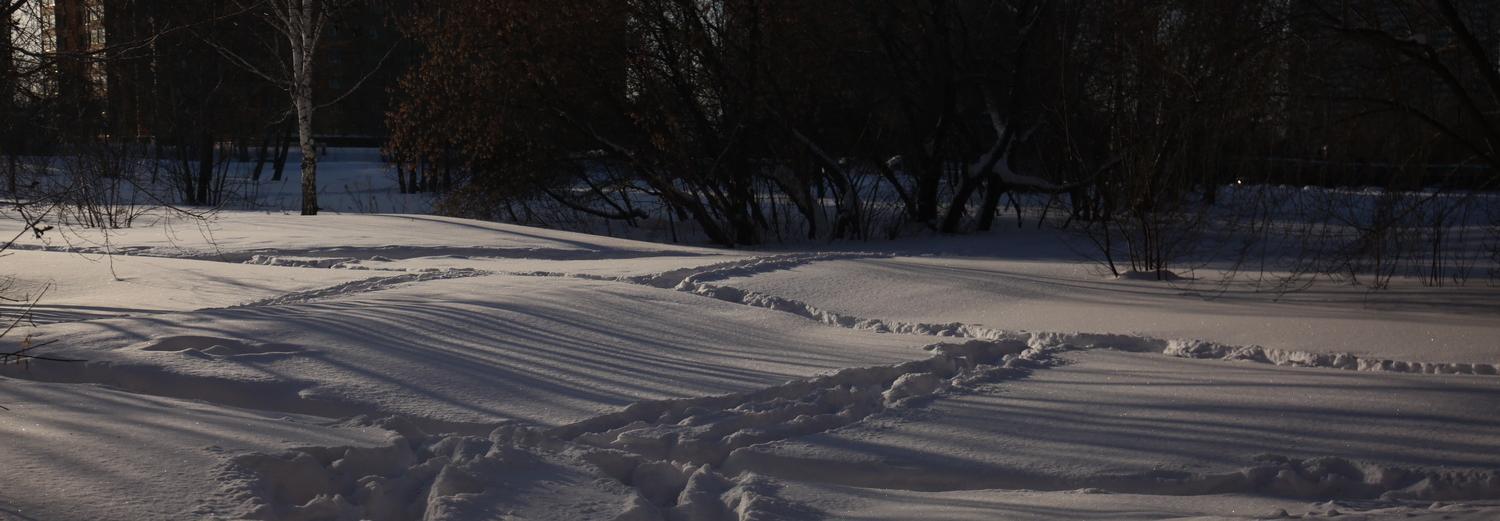 Как будет выглядеть сквер на Демакова — онлайн-обсуждение