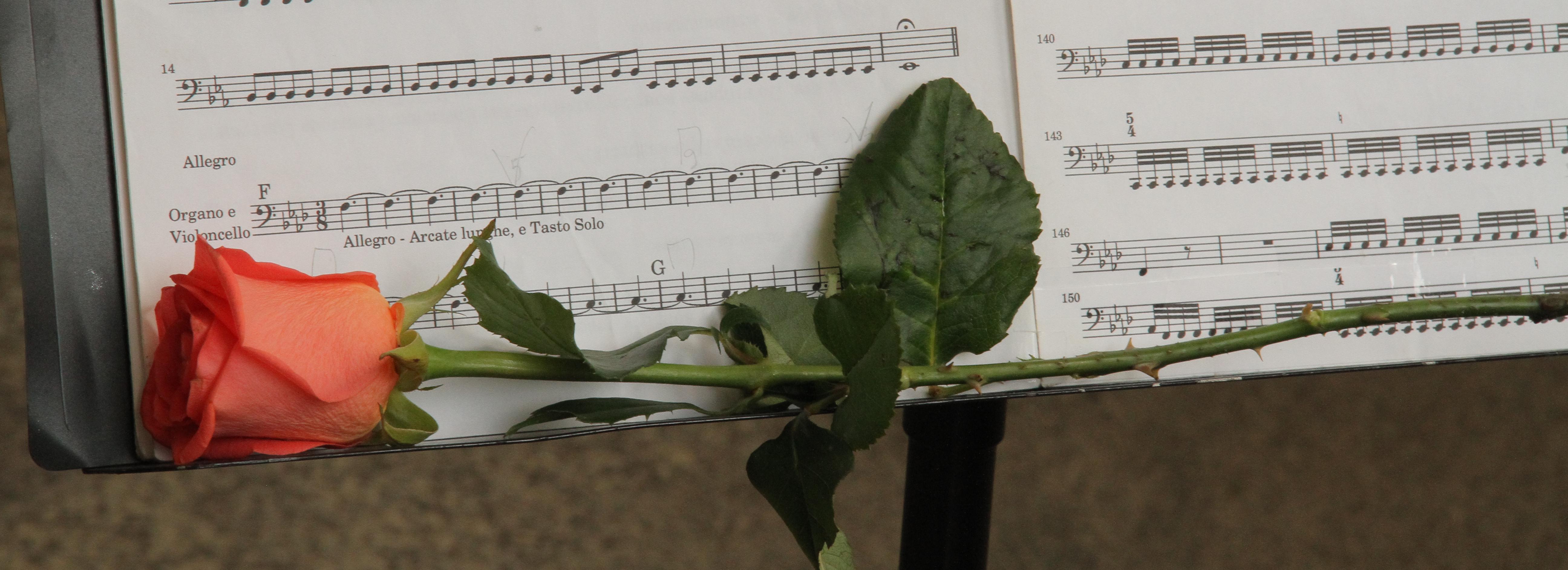 Оперная прима Джиоева споёт на симфоническом балу в Новосибирске