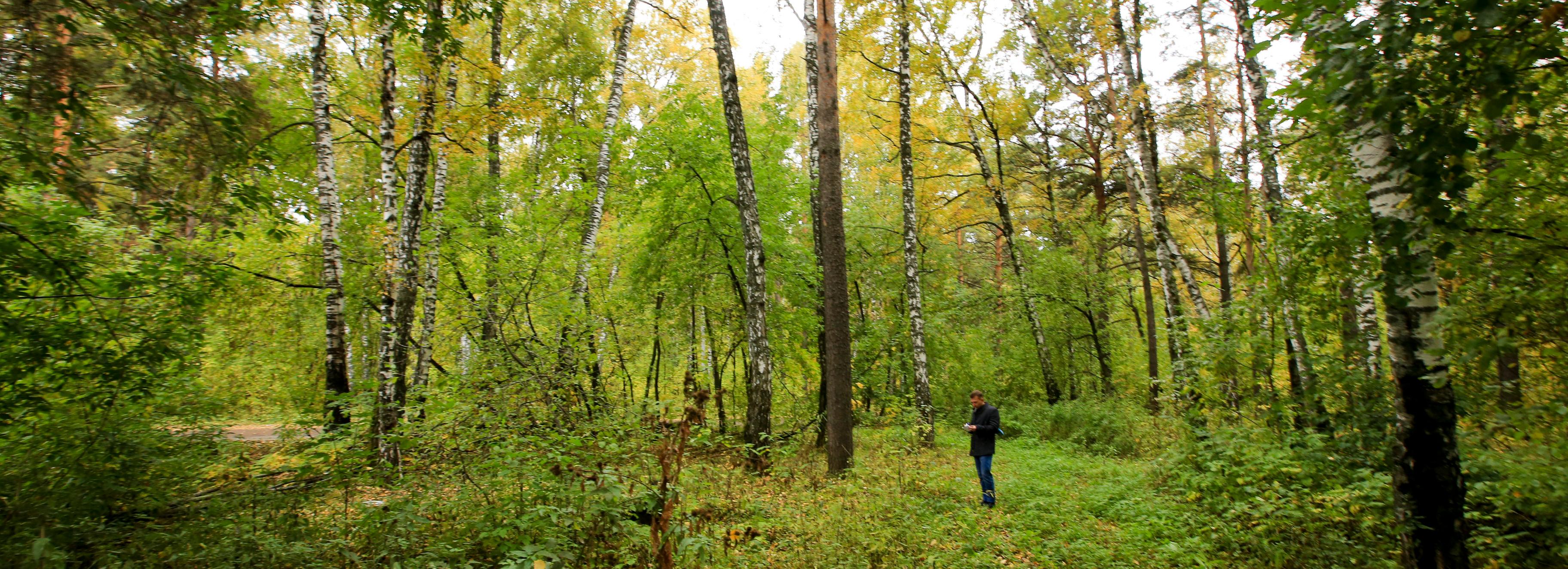 За зелёные зоны проголосовали больше 46 тысяч жителей Новосибирска