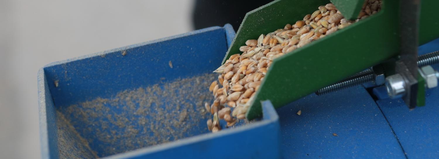 Рекордный урожай в 3,5 млн тонн зерна собрали новосибирские аграрии