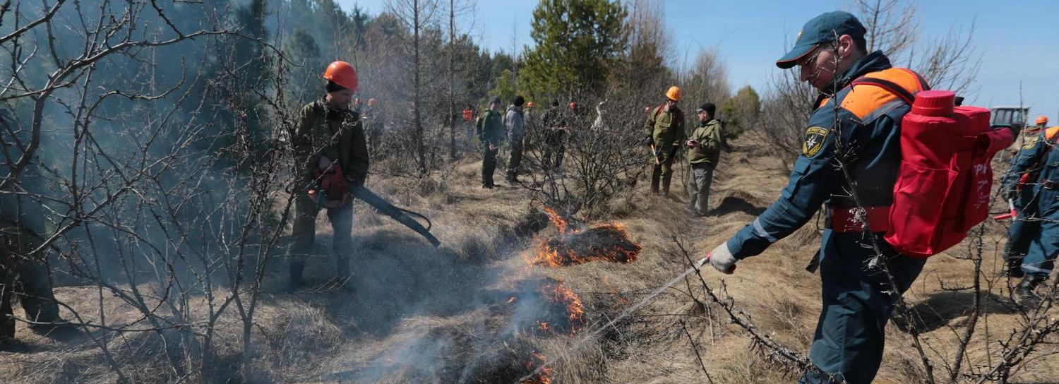 В Новосибирске произошло 18 пожаров за сутки из-за пала сухой травы