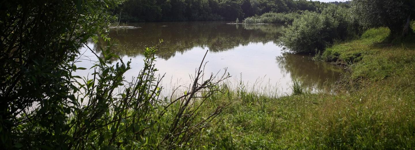 Как предотвратить трагедию на воде — инструкция