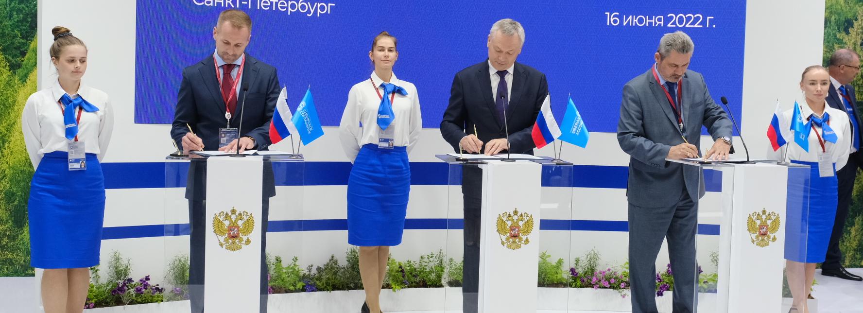 Завод по переработке рапса и льна построят в Новосибирской области