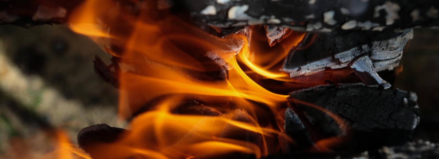 Дроны и специальный препарат применят для борьбы с лесными пожарами