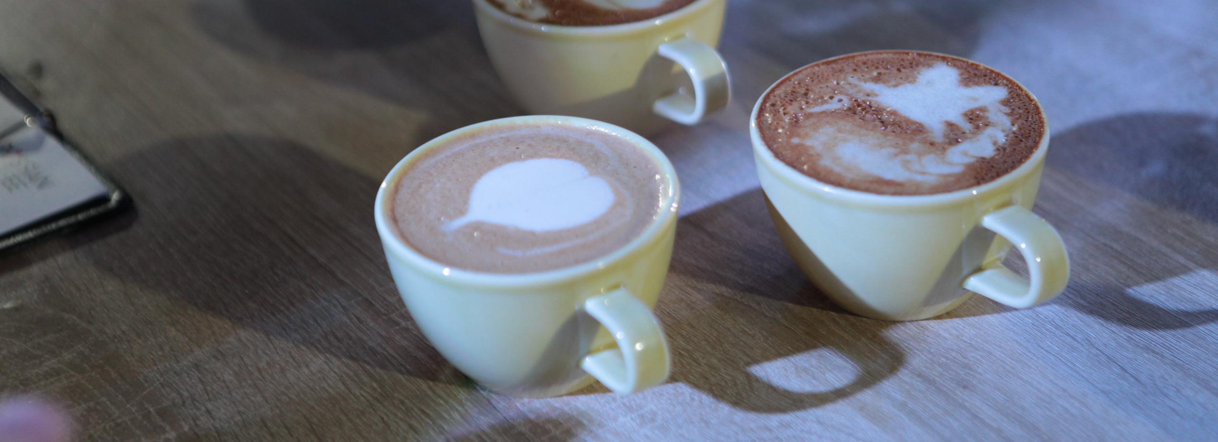 Новосибирская неделя: новые школы, свежий урожай и фестиваль кофе