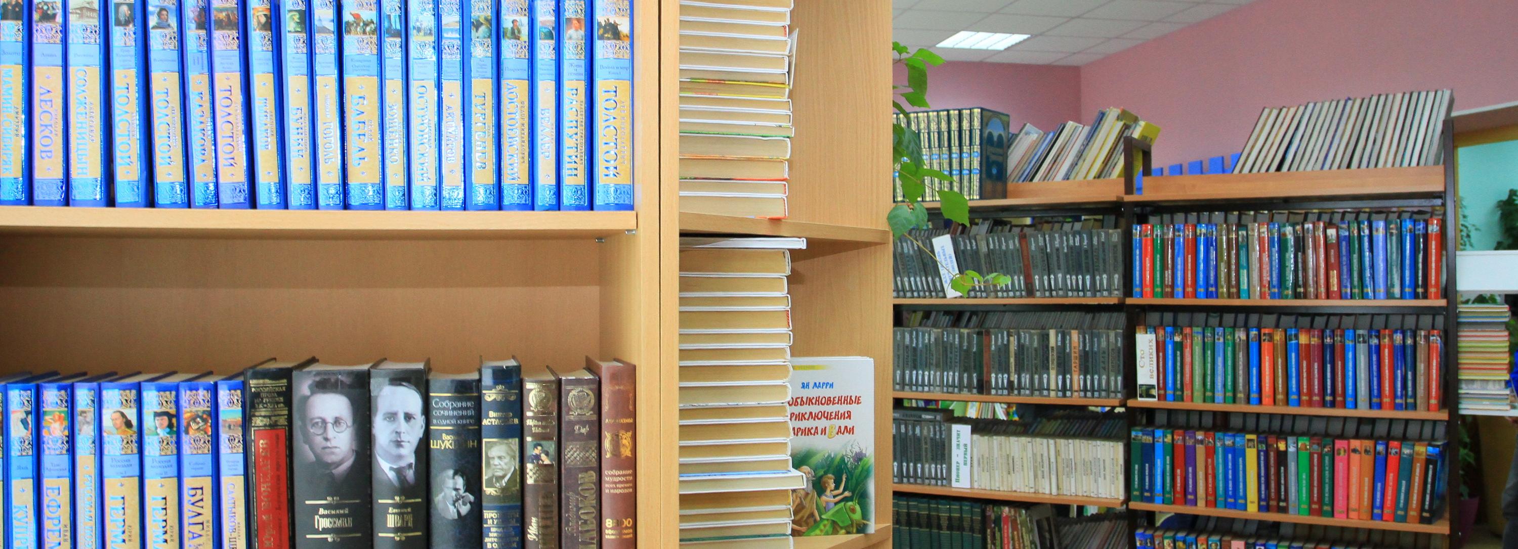 Новосибирец на «библиомобиле» победил во всероссийском конкурсе