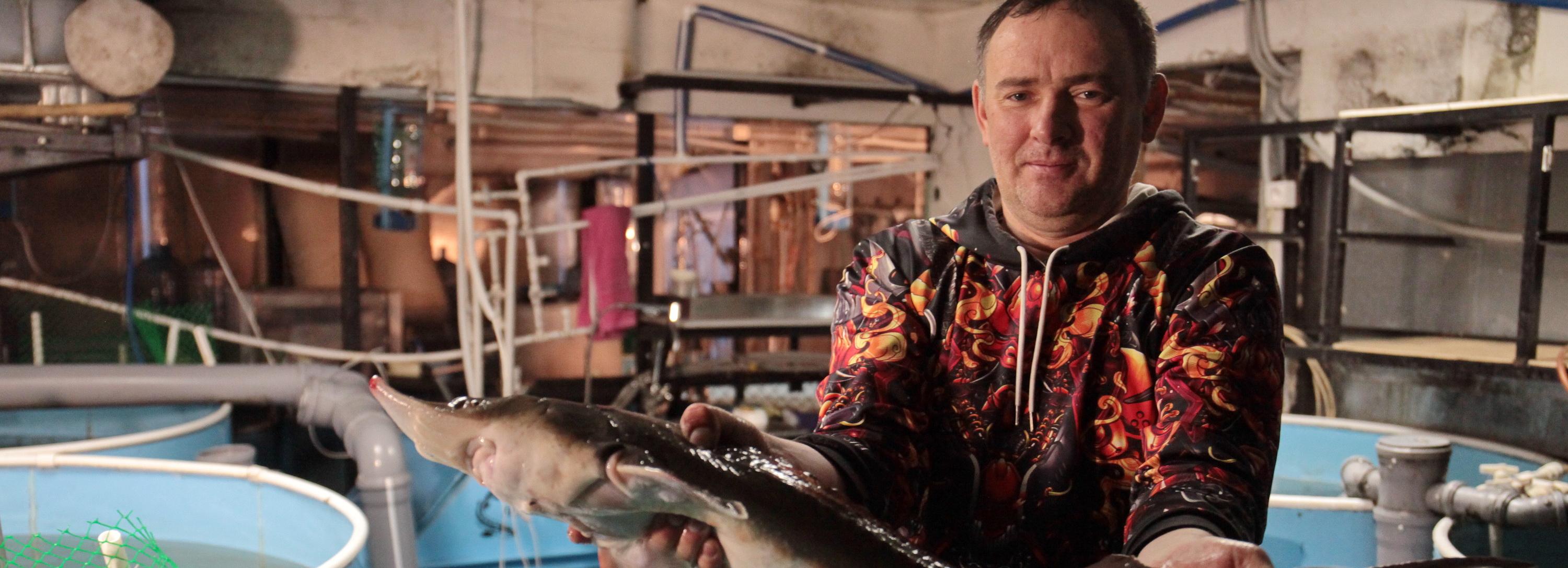 Как новосибирец поселил в своём гараже сотни осетров — фоторепортаж