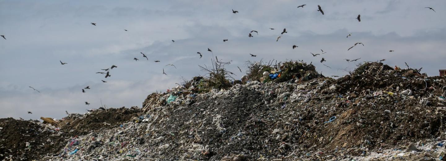 Участок для мусорного полигона возле Раздольного уменьшили в 3,5 раза