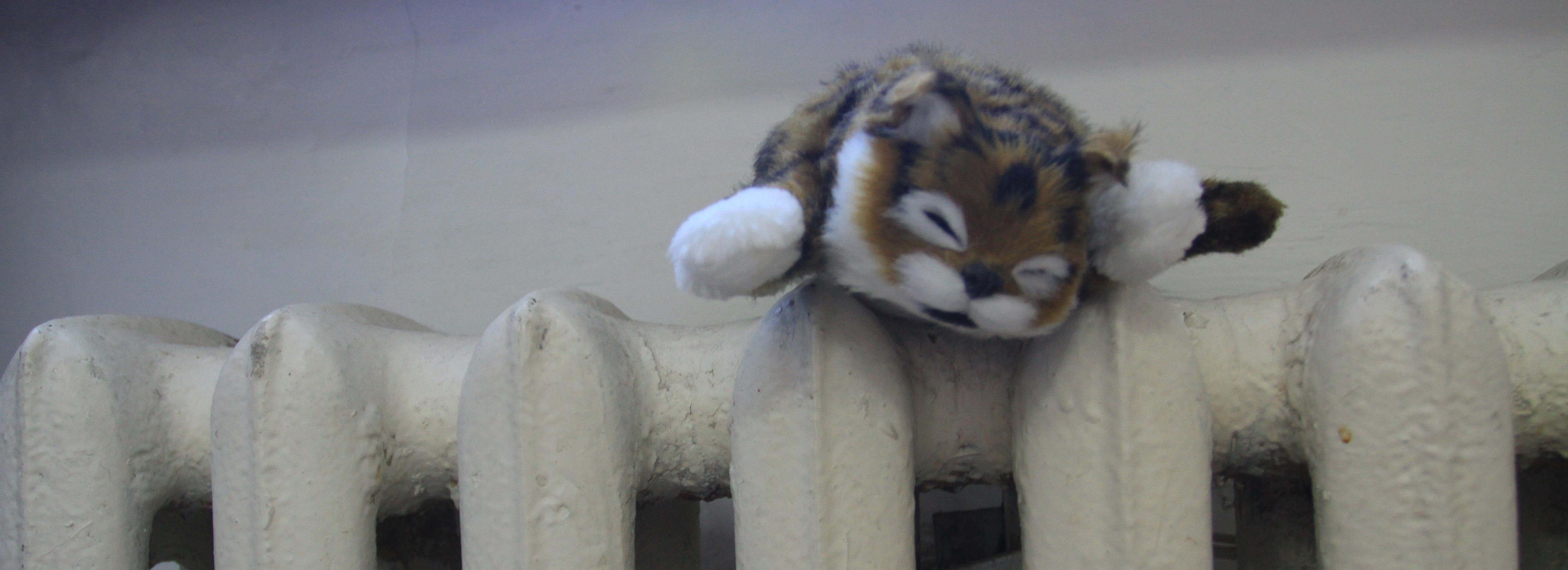 Когда дадут тепло в 2024 году в Новосибирске: график по районам