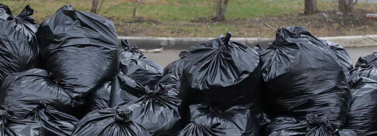 У озера с ондатрой в Акатуйском жилмассиве провели субботник