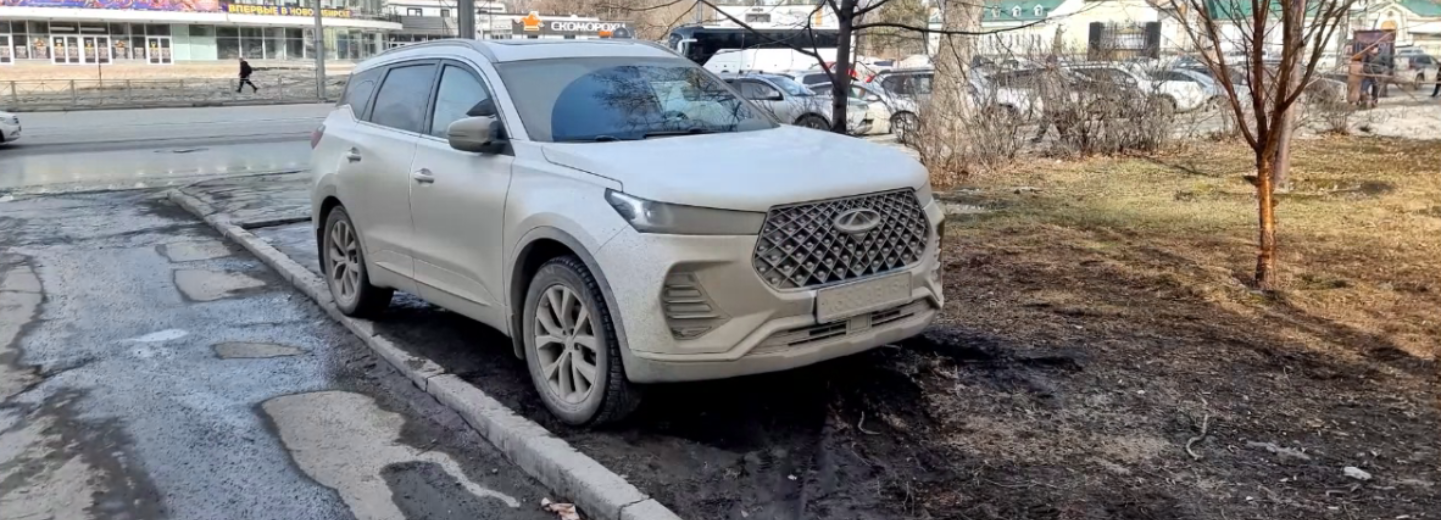 Испорченные газоны вскрылись в Новосибирске с наступлением весны