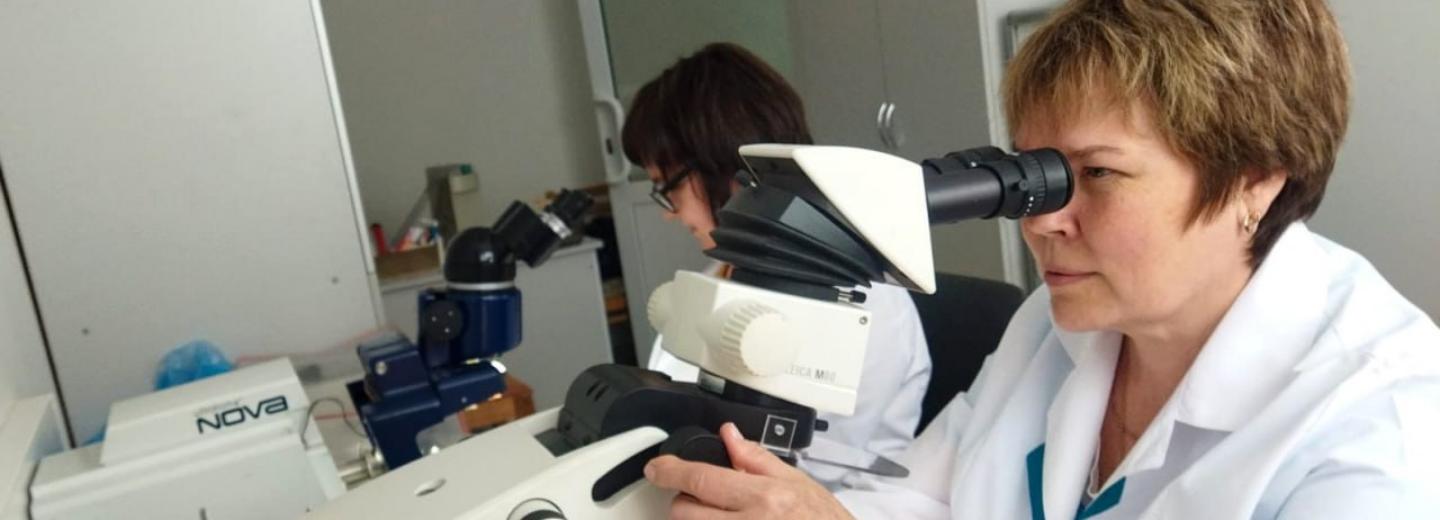 28-тысячелетнего мамонта исследовали под микроскопом в Новосибирске