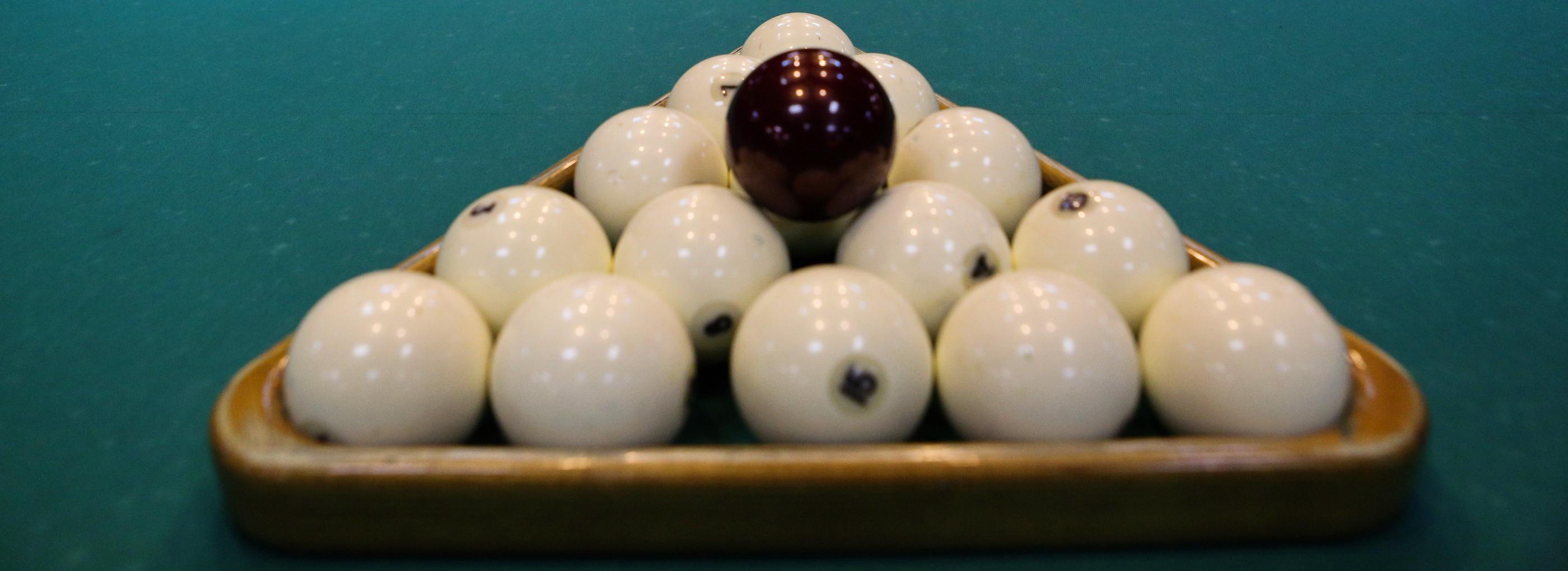 Соболь или сова: новосибирцы выбирают персонажа ЧМ по бильярду