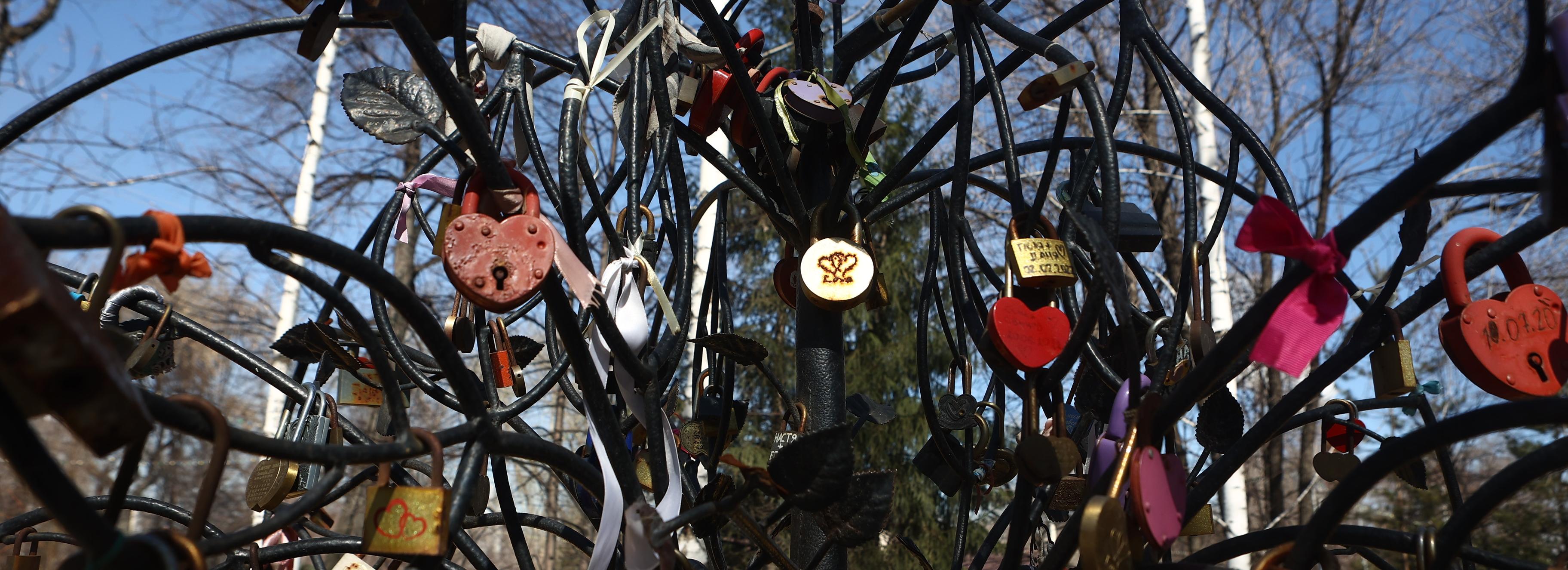 Зелёный театр, фонтан и патио: парк Кирова лидирует в голосовании