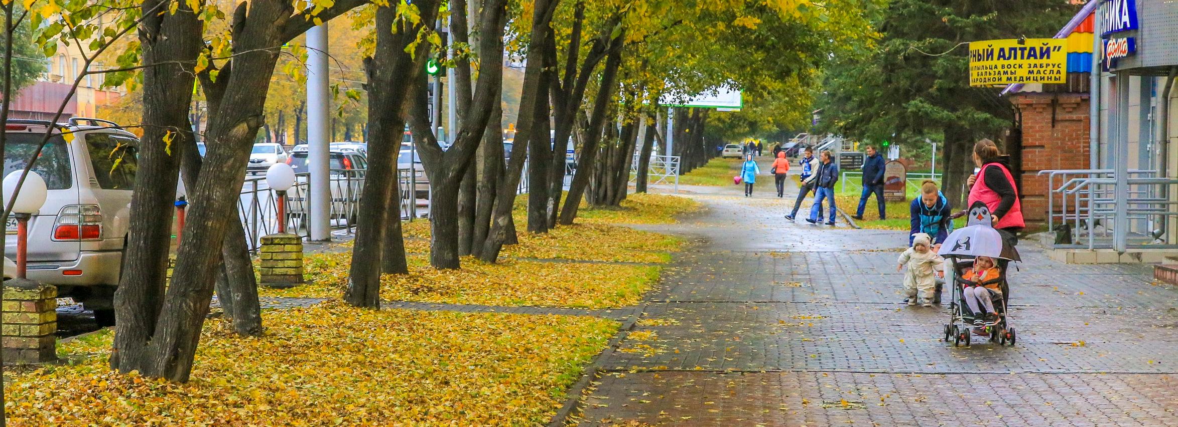 Ночные заморозки станут причиной гололёда на дорогах
