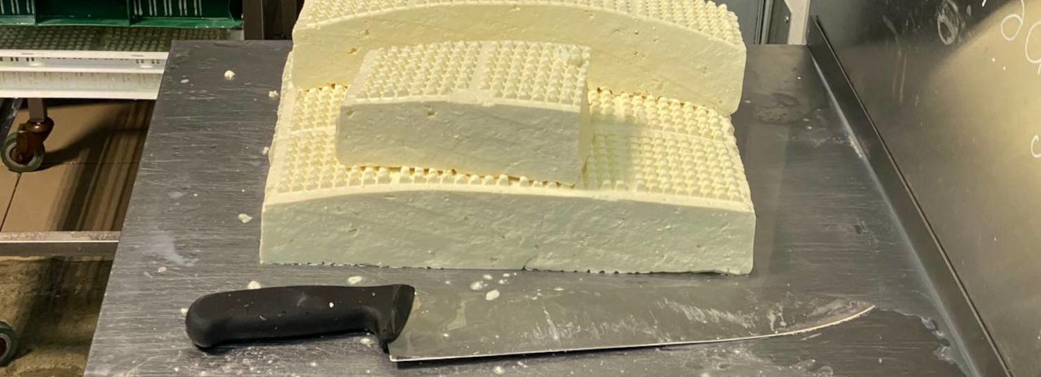 Производство сыров и мороженого выросло в Новосибирской области