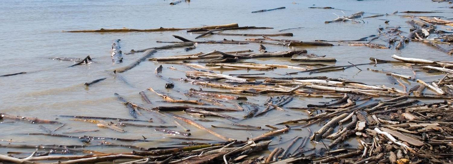 Водолазы обследовали дно пляжа «Звезда» в Новосибирске