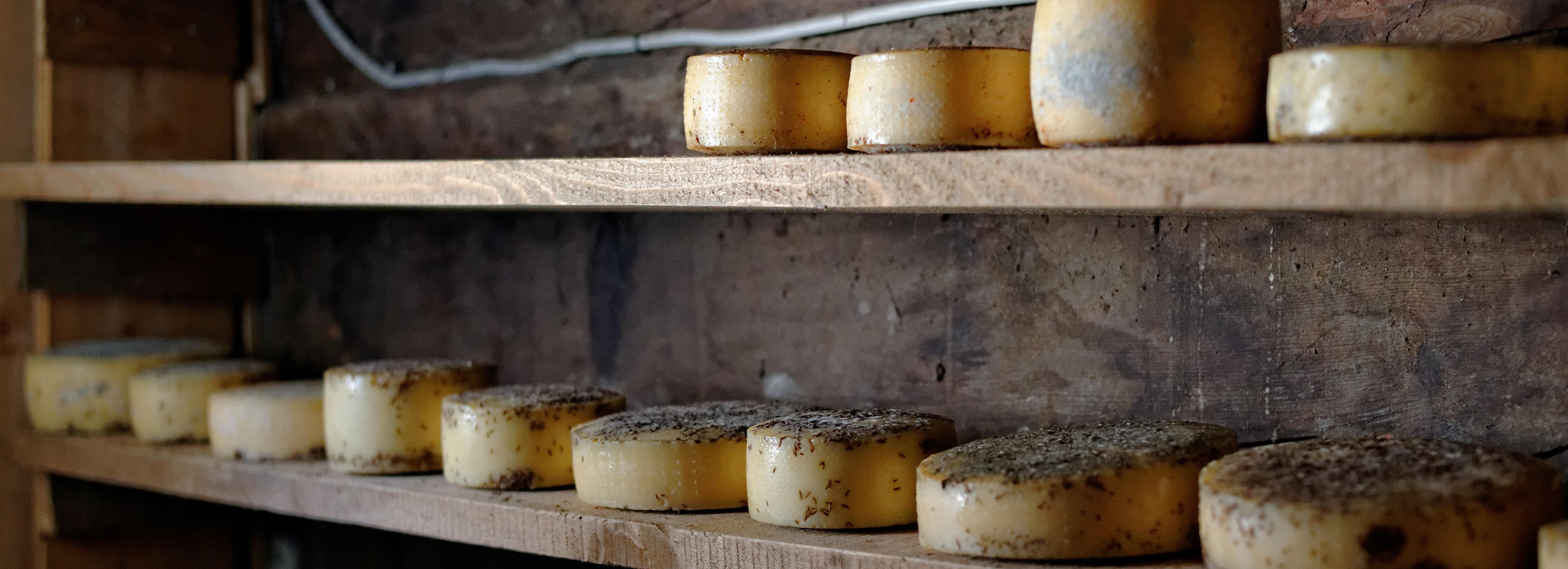 Работа в Новосибирске: аффинер сыра, кыстыбыйщик и электрофотограф