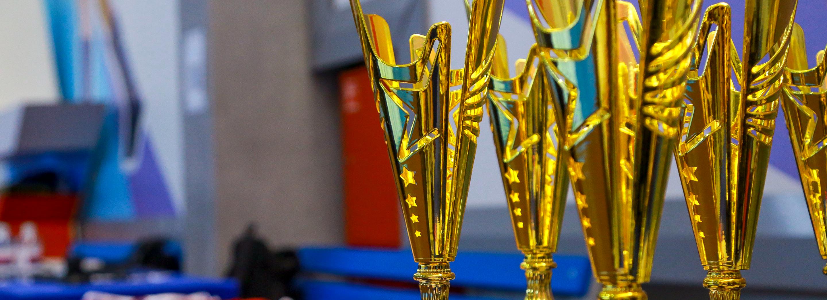 Как выйти в лидеры Европы по самбо — слушайте в прямом эфире Горволны