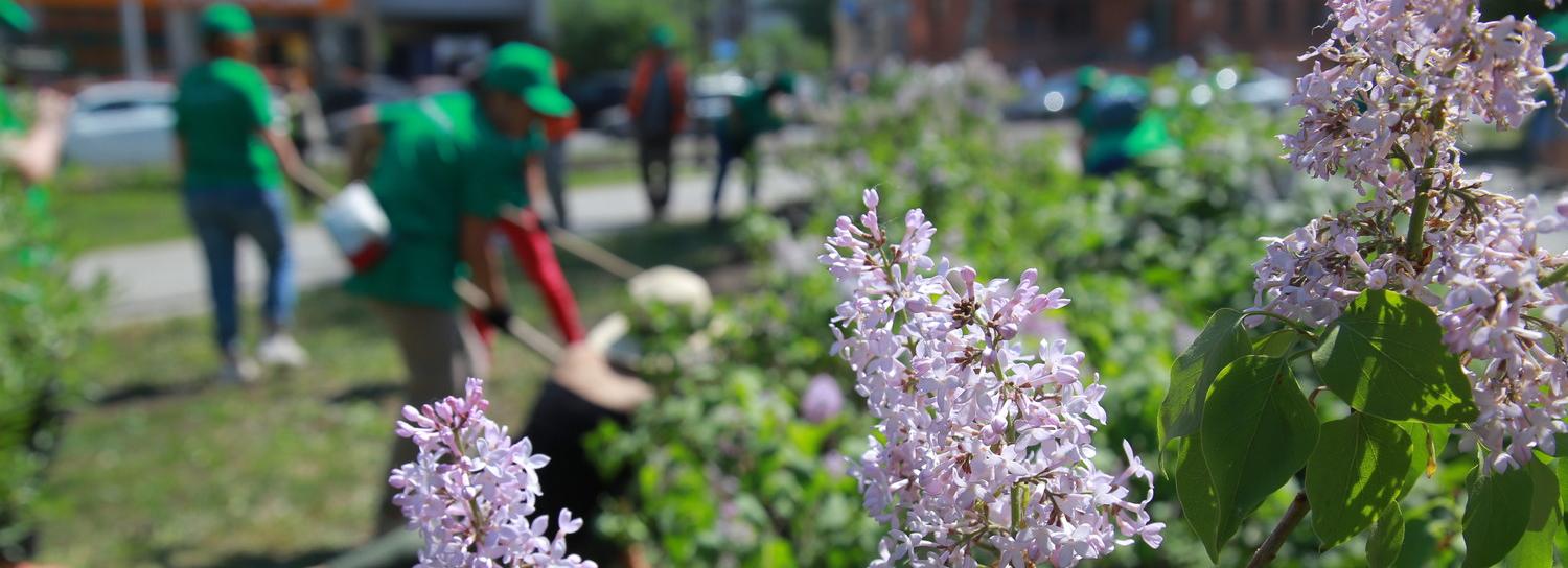 Лучшими в России могут стать семь городских проектов Новосибирской области
