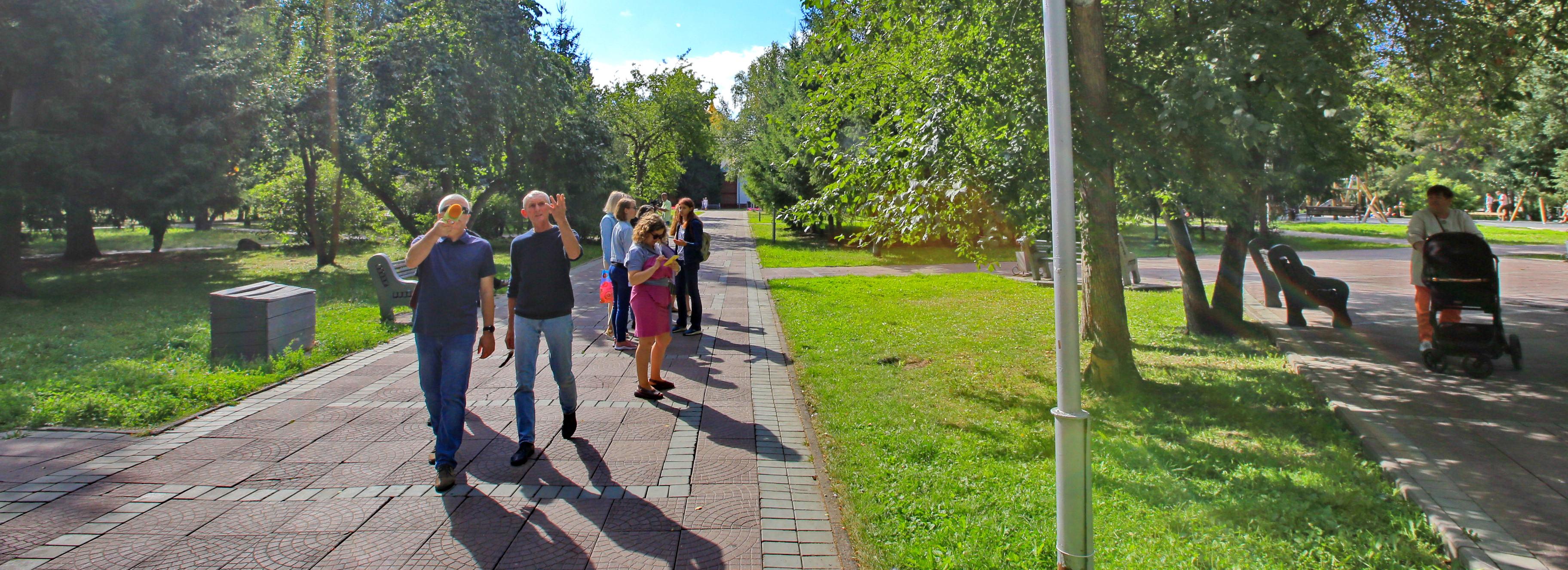 Голубые ели, как на Красной площади, спасут в Нарымском сквере