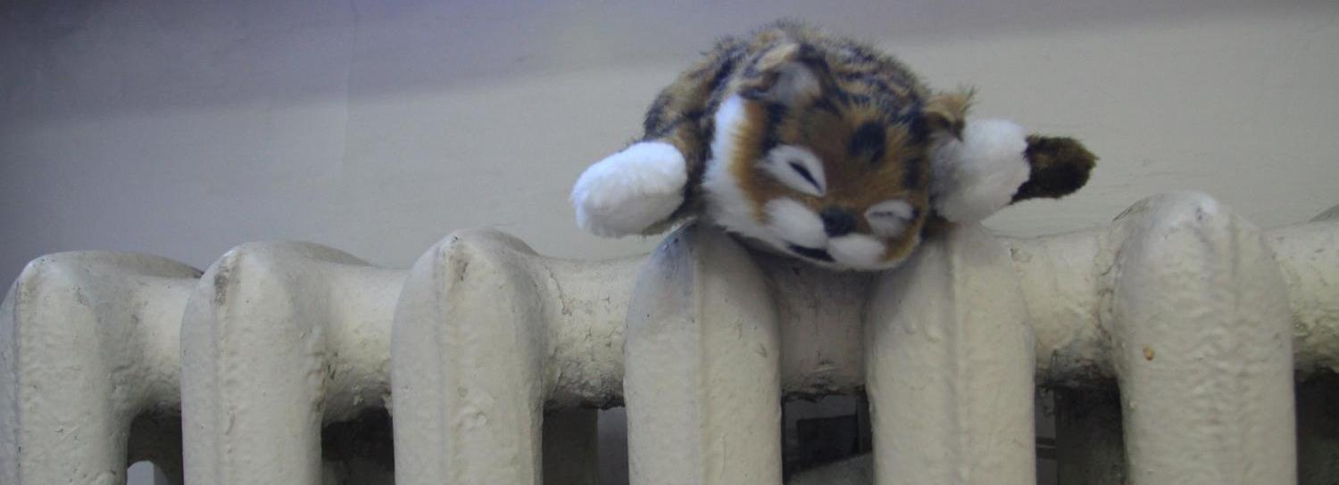 Травников поручил дать тепло в детсады и школы Новосибирской области