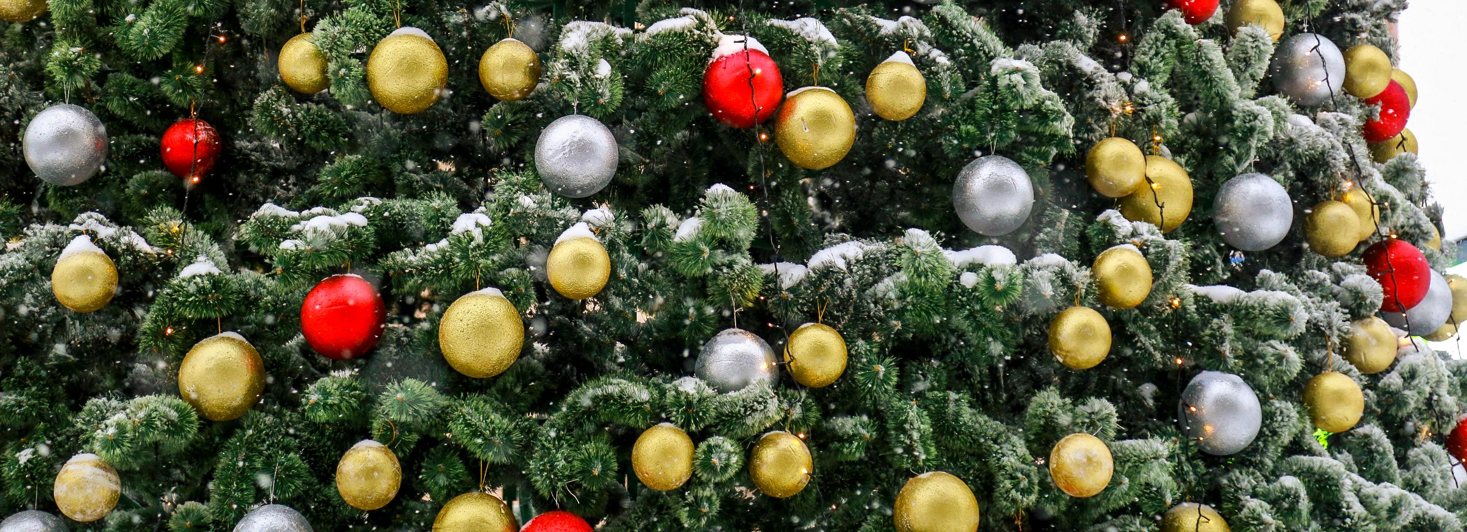 Новый год по-дальневосточному отметили в Первомайском парке