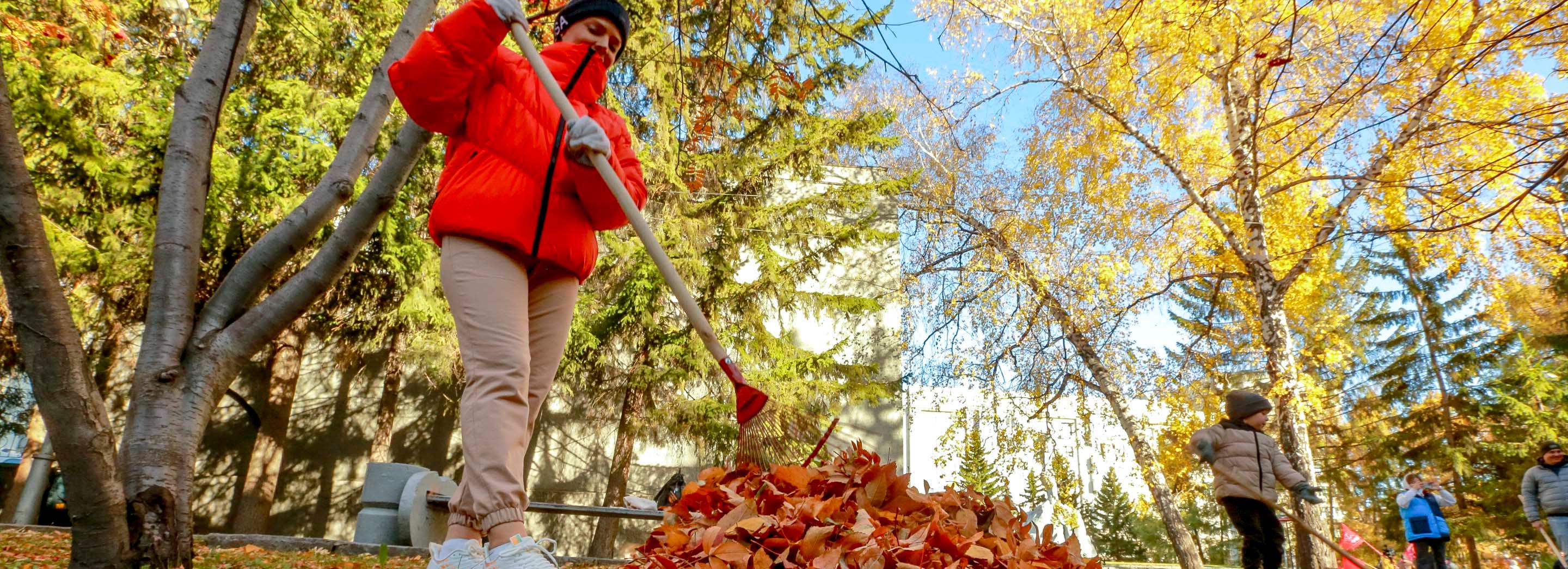 Ветер до 18 метров в секунду подпортит субботник новосибирцам