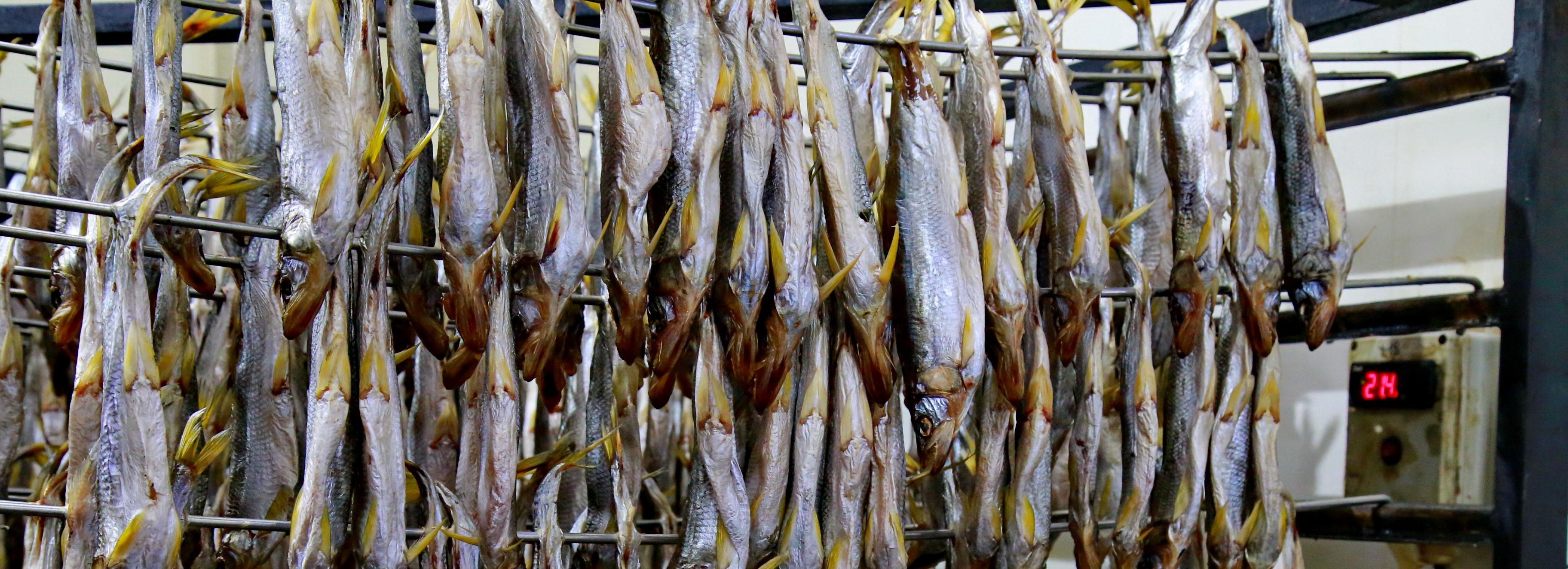 Новосибирская область на 40% увеличила экспорт минтая