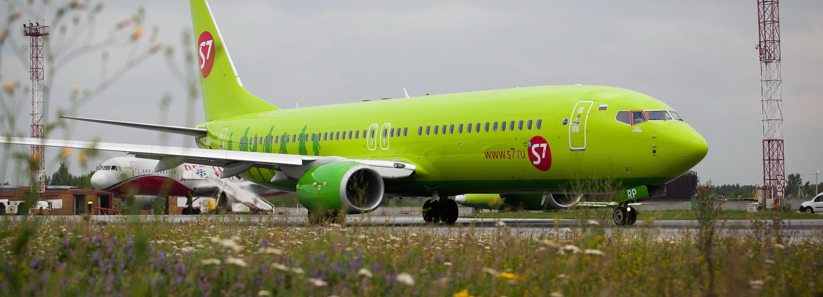 В Новосибирске гулявшая на ВПП собака отправила самолёт на второй круг