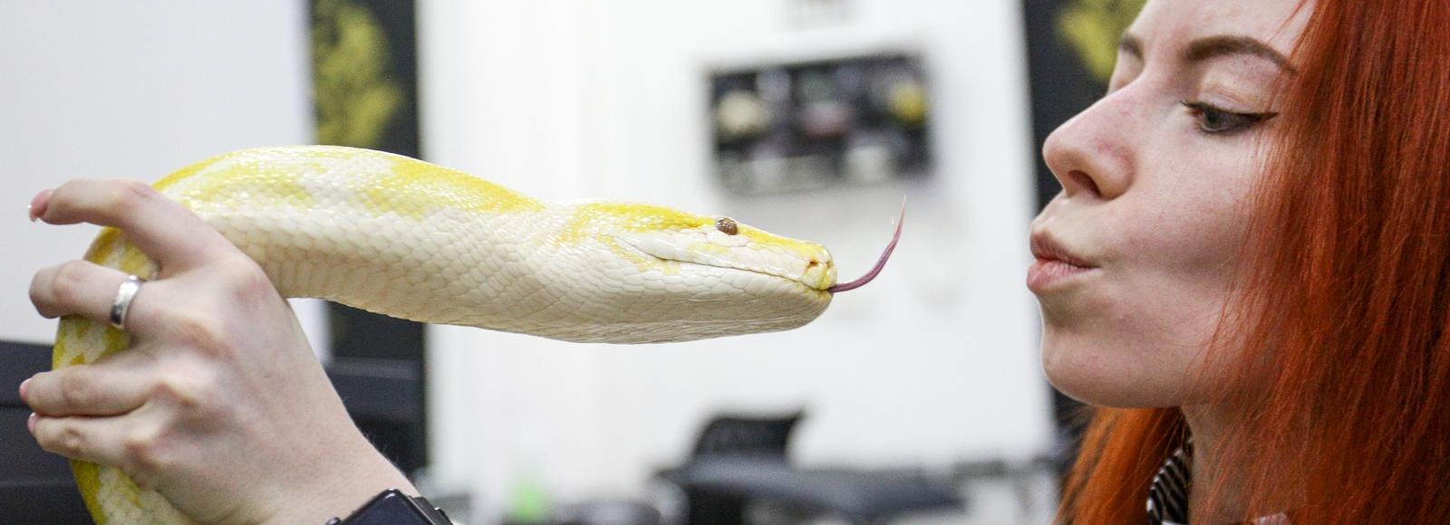 Хвостатая подмога: шесть питомцев, которые живут у новосибирцев на работе