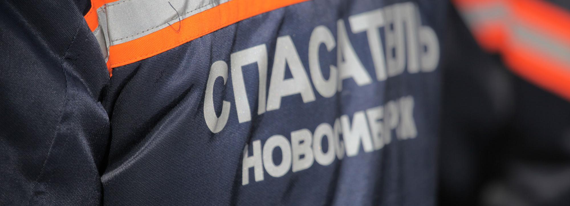 Собака укусила ребёнка и открыла дверь спасателям в Новосибирске