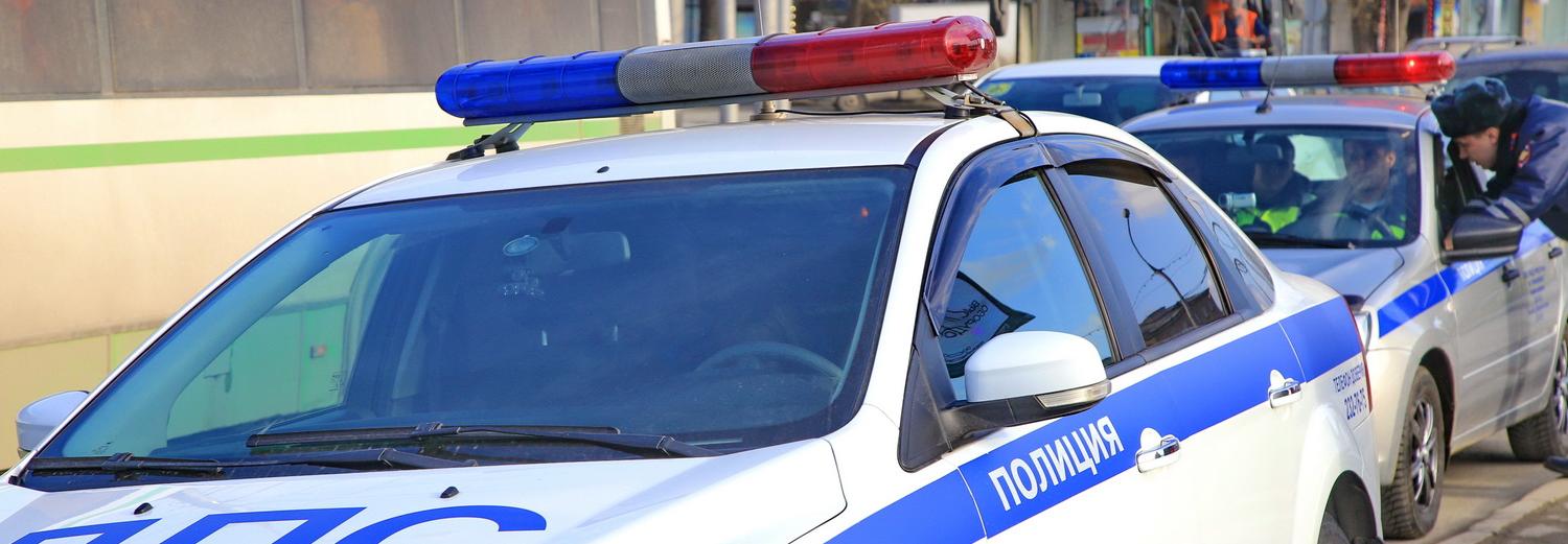 200 новосибирцев в январе поймали на перевозке детей без кресел