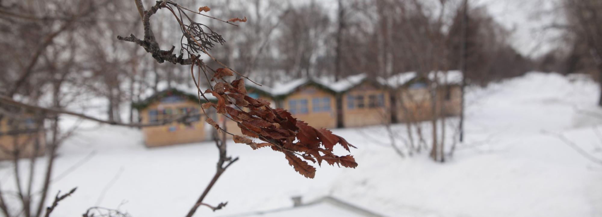 Тёплые и пасмурные выходные обещают новосибирцам синоптики