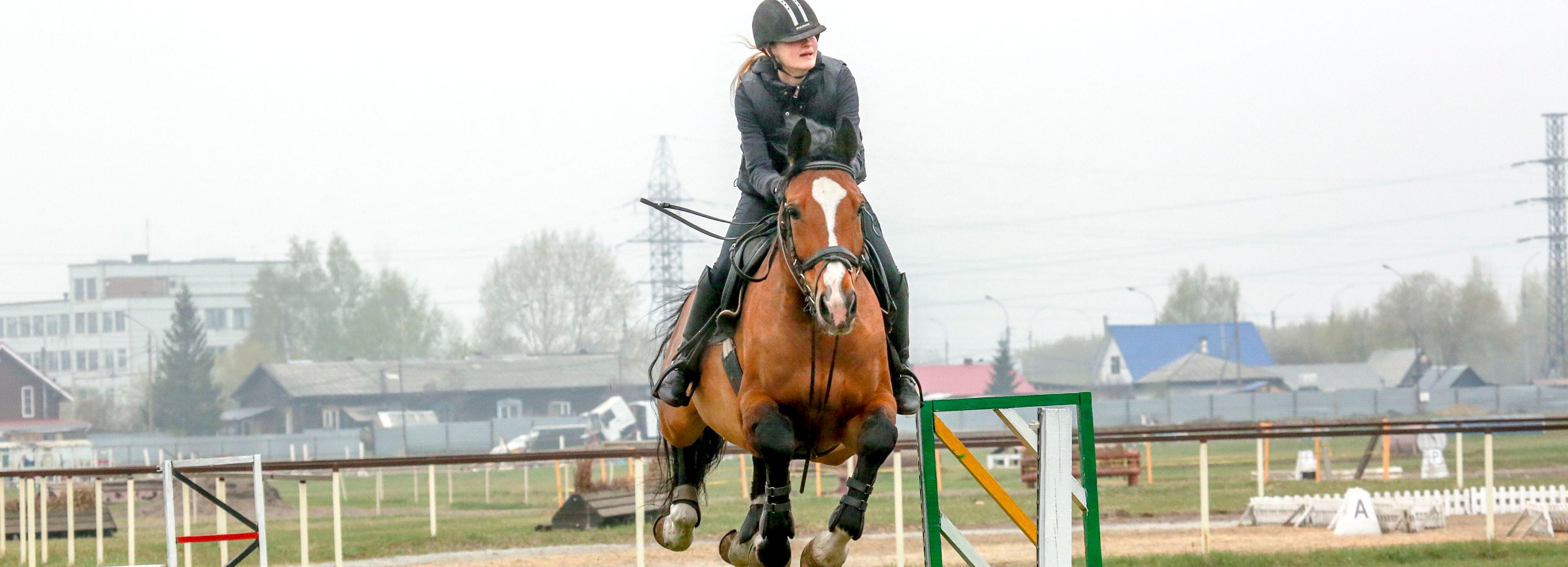 Новосибирск впервые принимает первенство России по конному троеборью