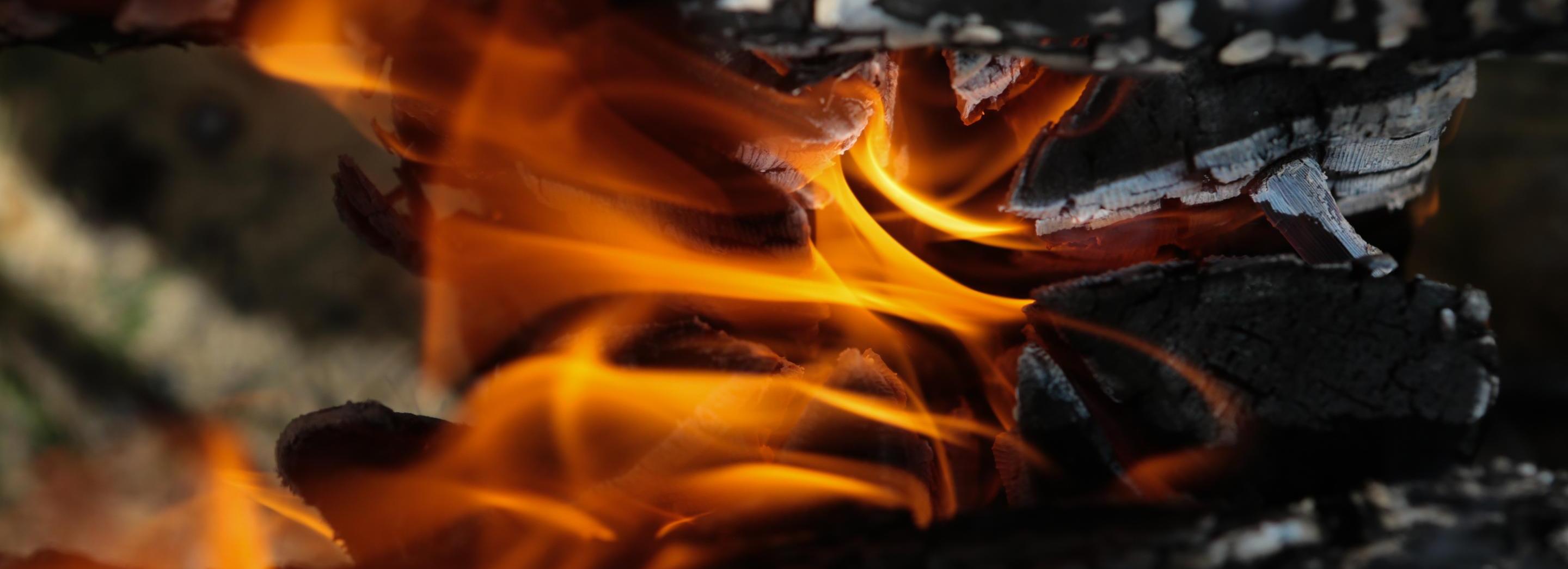 Двое детей отравились угарным газом в пожаре под Новосибирском