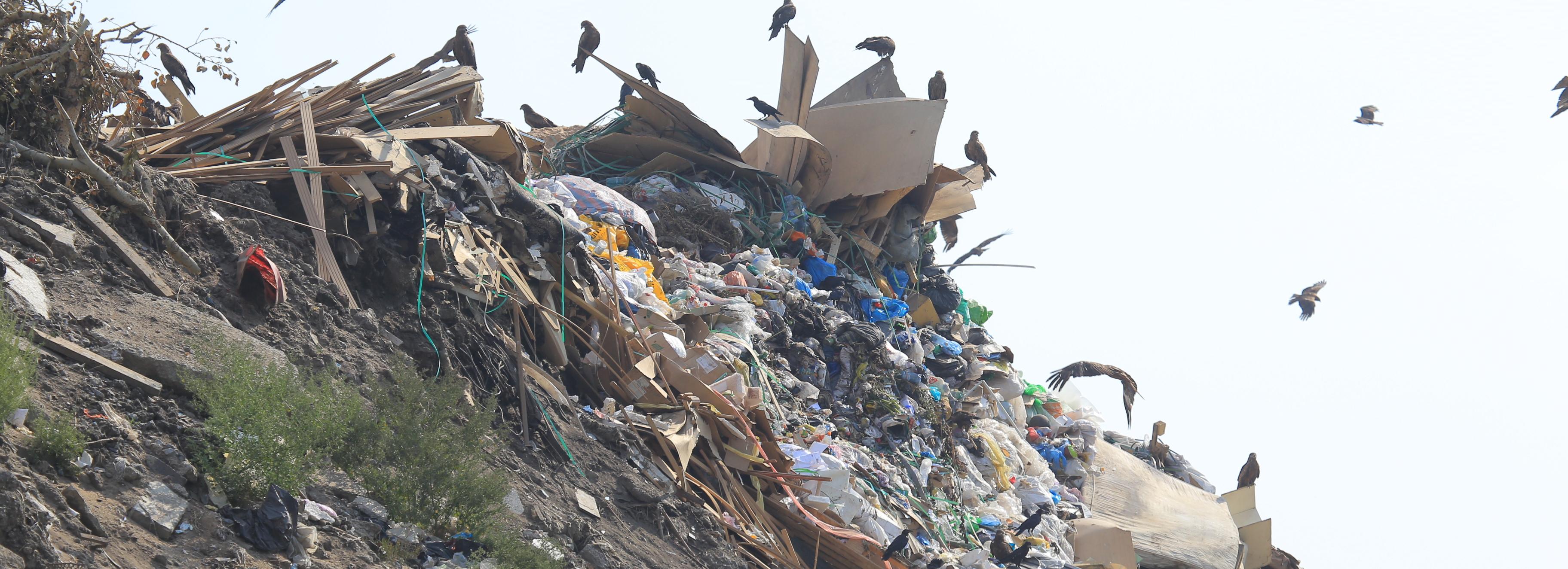 Новосибирская область получит 360 млн рублей на ликвидацию свалок