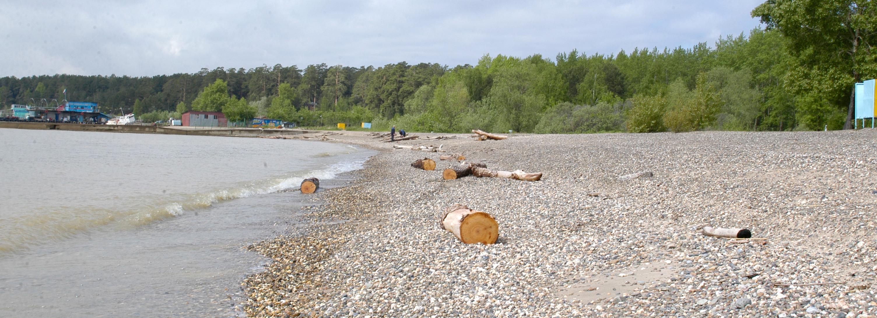 Телеведущая Юлия Михалкова приедет убираться на пляже в Академгородке
