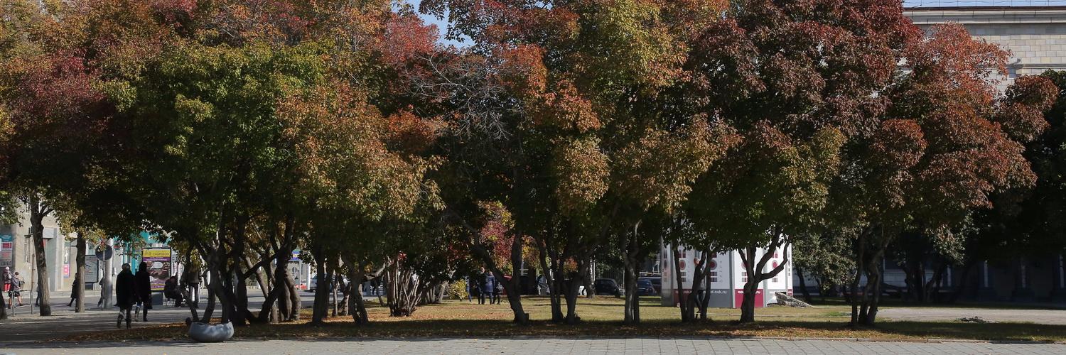 Будьте здоровы: как бороться с осенней хандрой