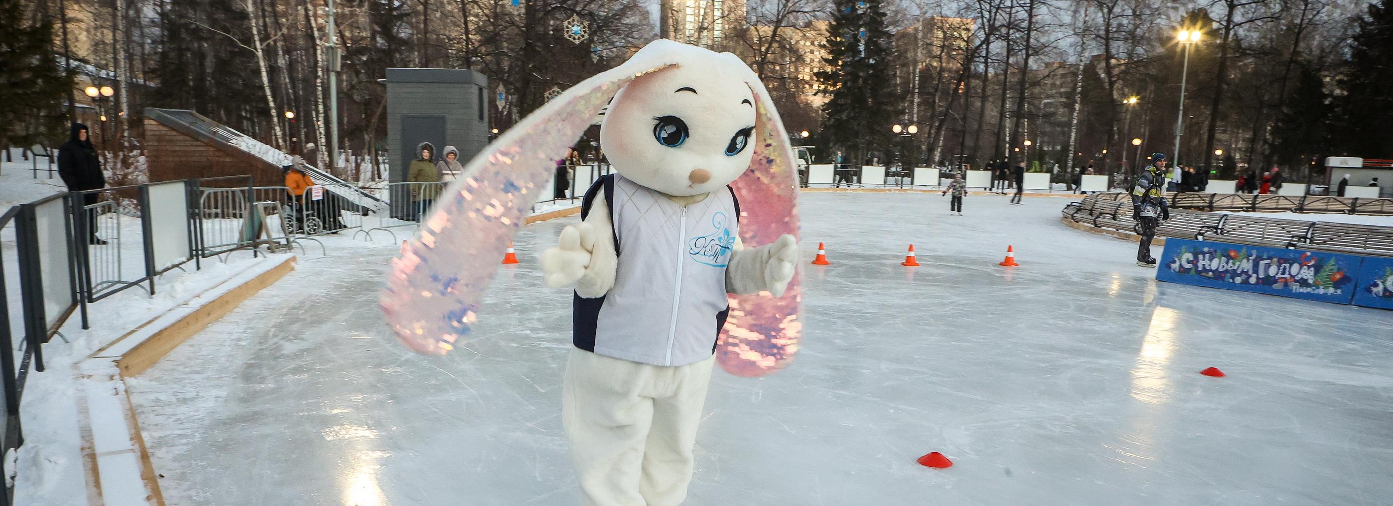 Катки Новосибирска: 19 популярных мест, где можно покататься на коньках