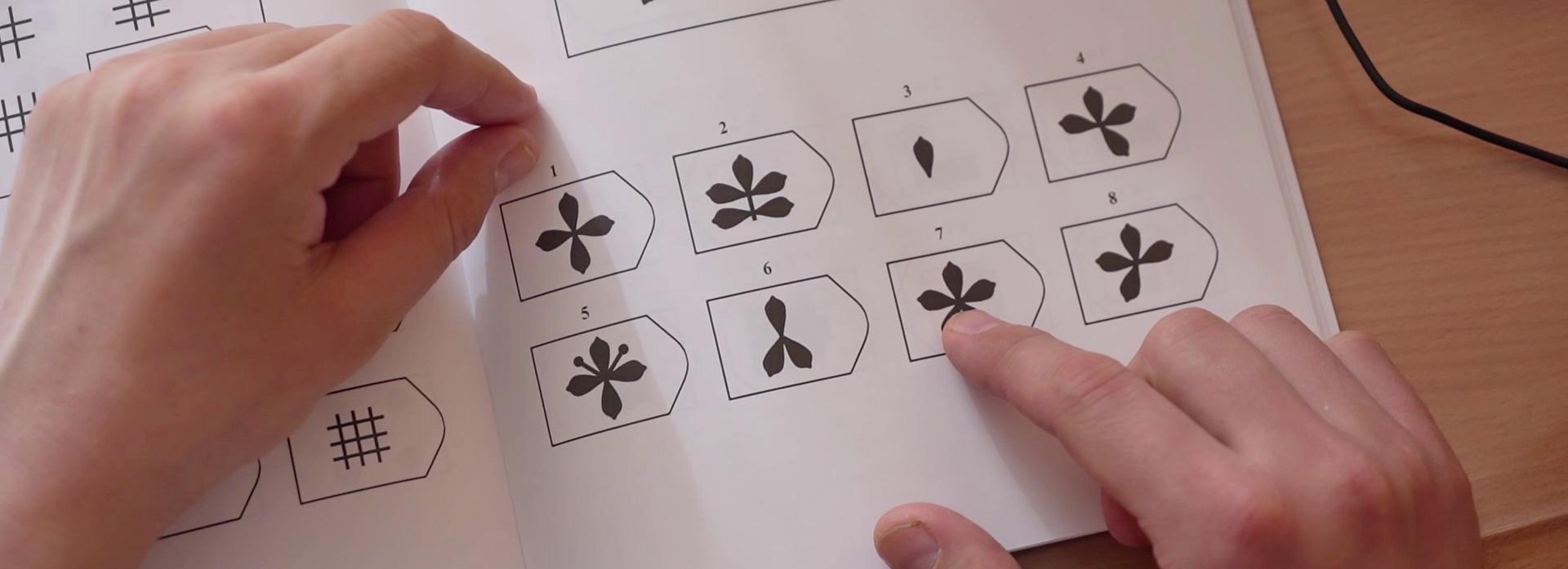 Психологи бесплатно помогут вернувшимся с СВО новосибирцам