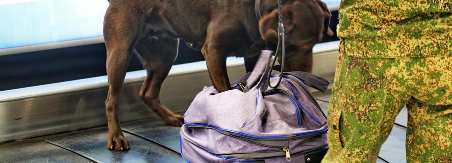 Крест и монеты со свастикой задержали на таможне в Новосибирске