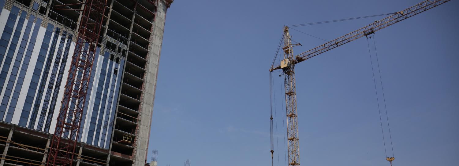 Код города: гостиница «Турист», бродячие собаки и познавательные прогулки